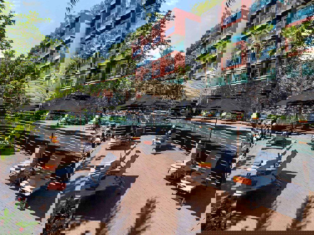 2243911-427146