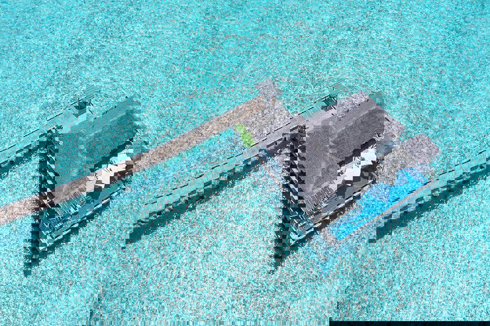 2243911-14222