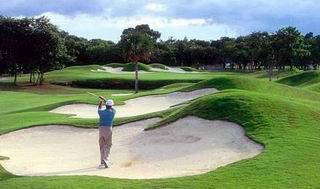 Hacienda Vista Real Resort