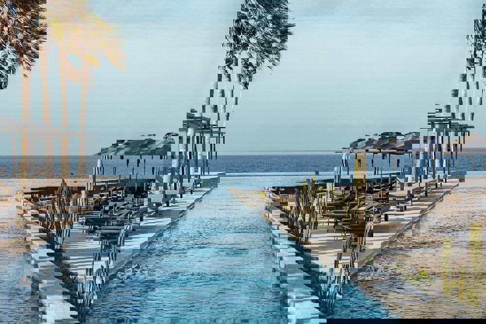 2243911-469189
