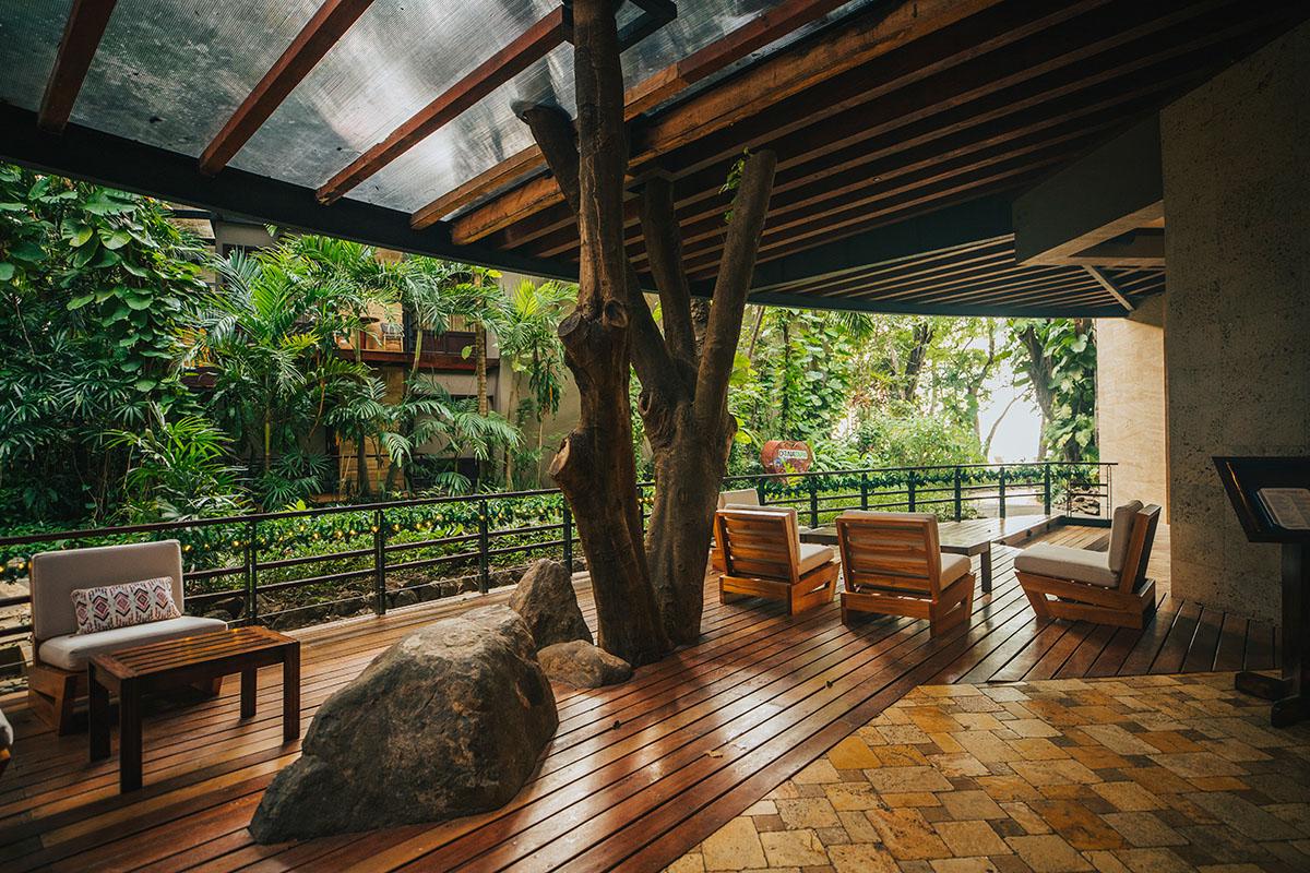 Bosque Del Mar