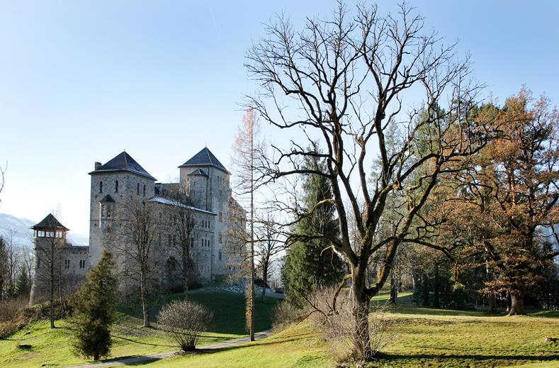 schloss-fischhorn