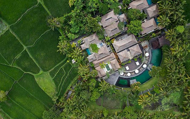 Ubud Village Nyuh Kuning - Afbeelding 9