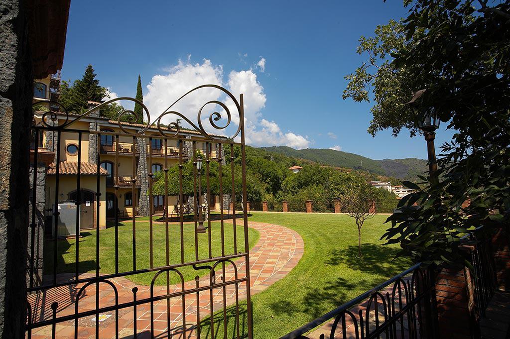 Airone foto 6