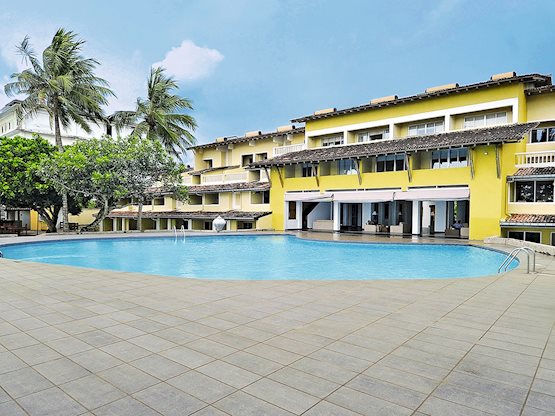 Citrus - Hikkaduwa - Sri Lanka