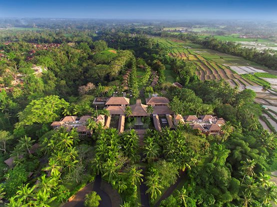 Maya Ubud Ubud Nergens goedkoper  Prijsvrij nl