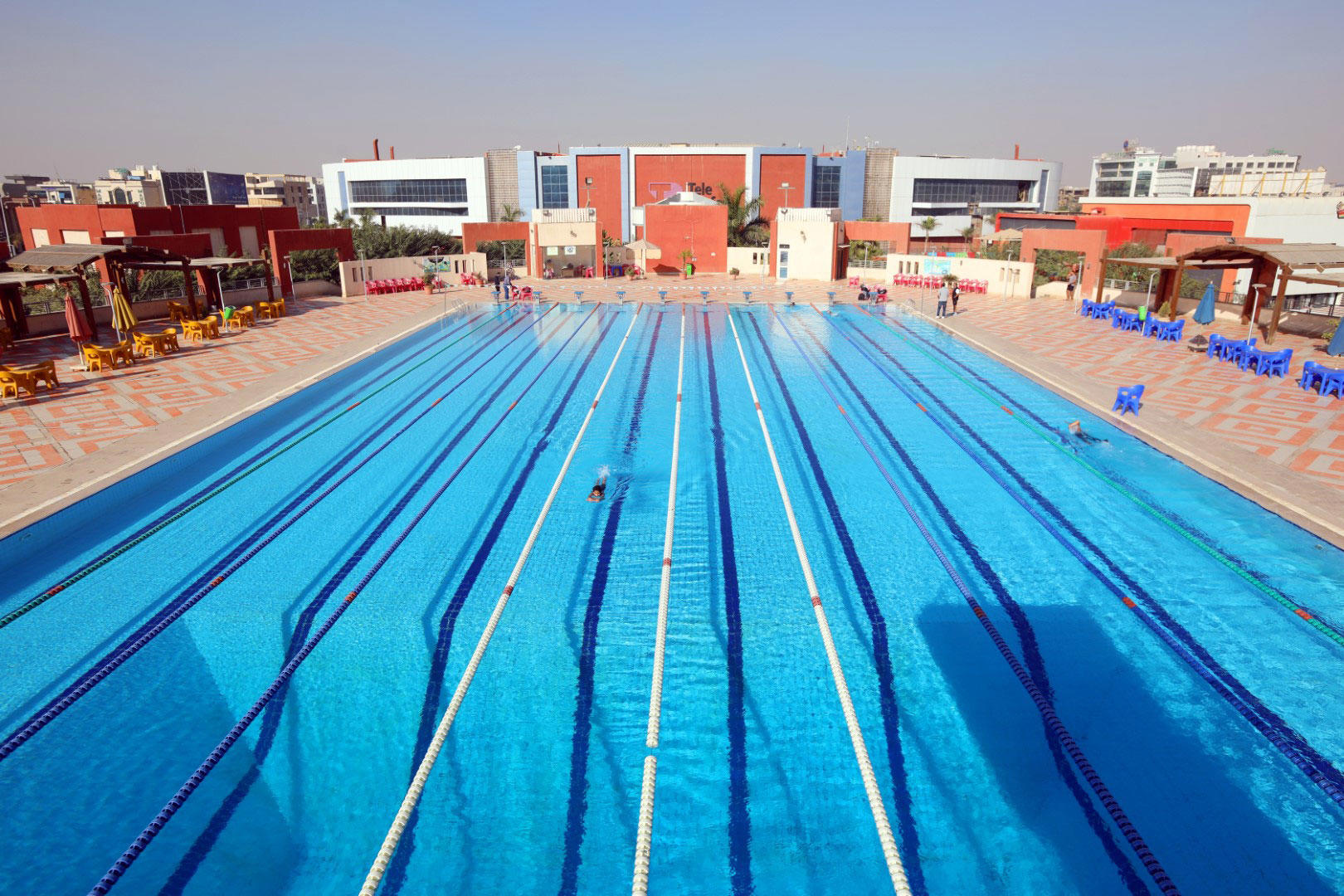 tolip-el-narges-en-spa