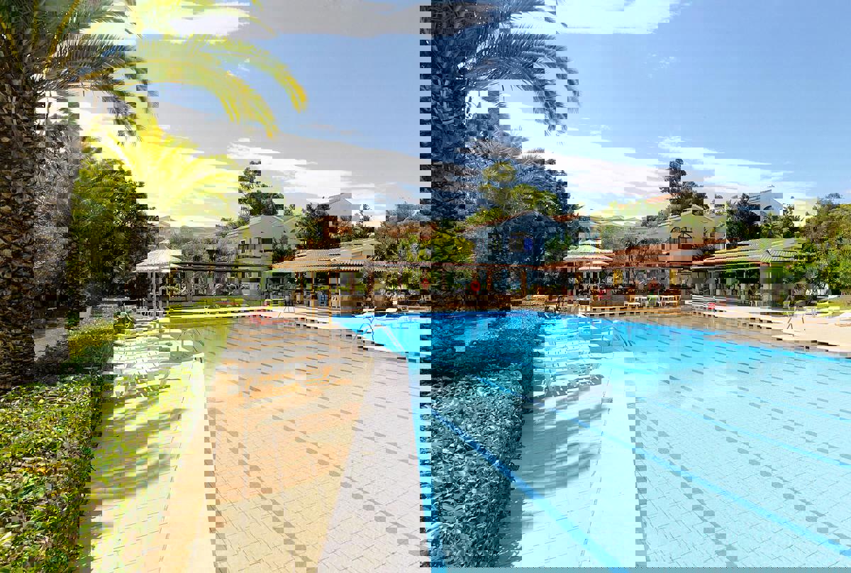 2243911-369068