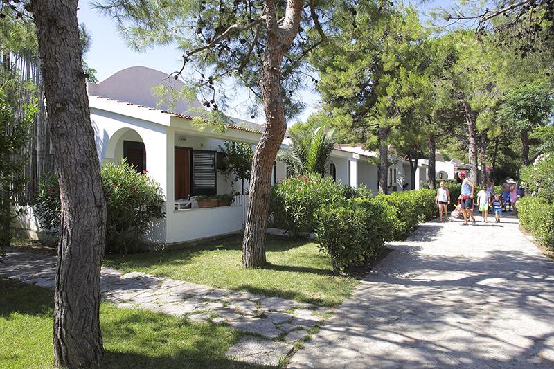 baia-degli-aranci