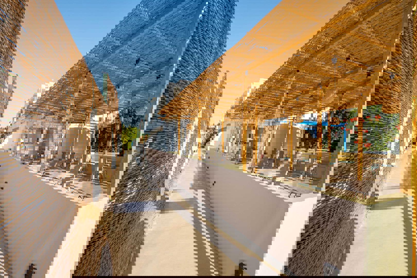 2243911-462861