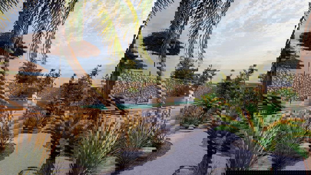 2243911-469529
