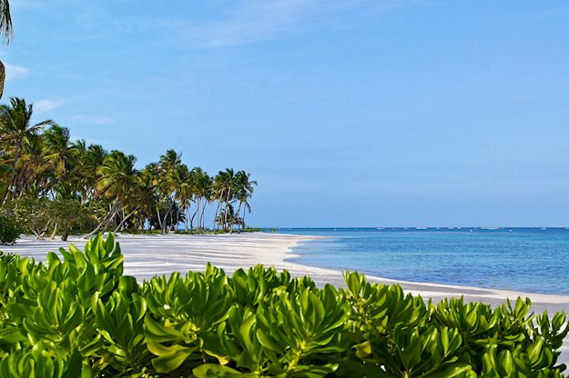 tortuga-bay-puntacana