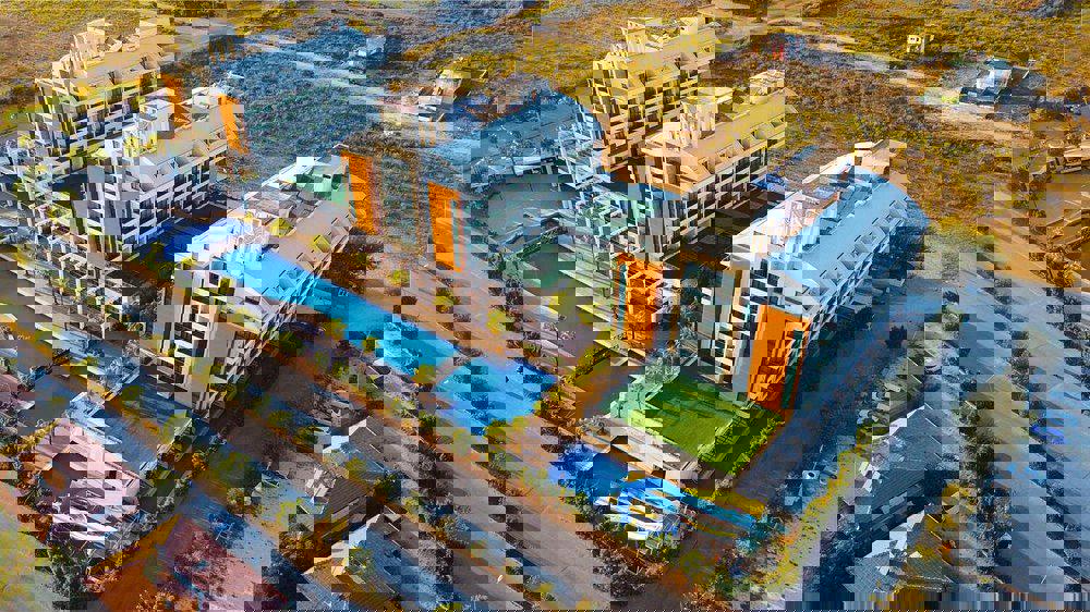 2243911-442265