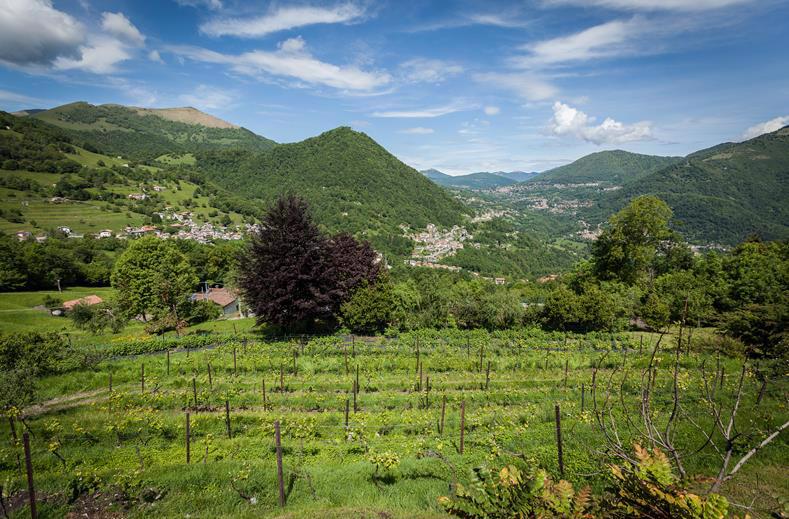 Al Marnich Agriturismo