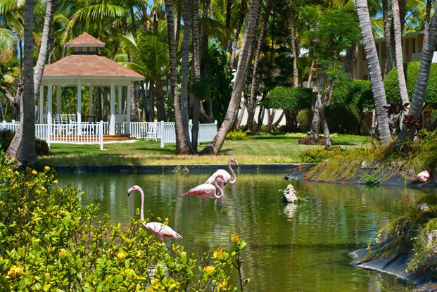 catalonia-bavaro-beach-resort