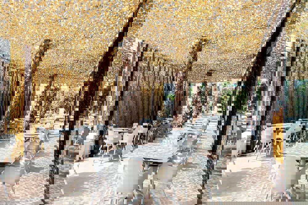 hilton-higueron-malaga-curio