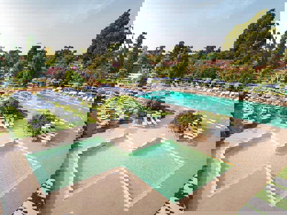 2243911-464873