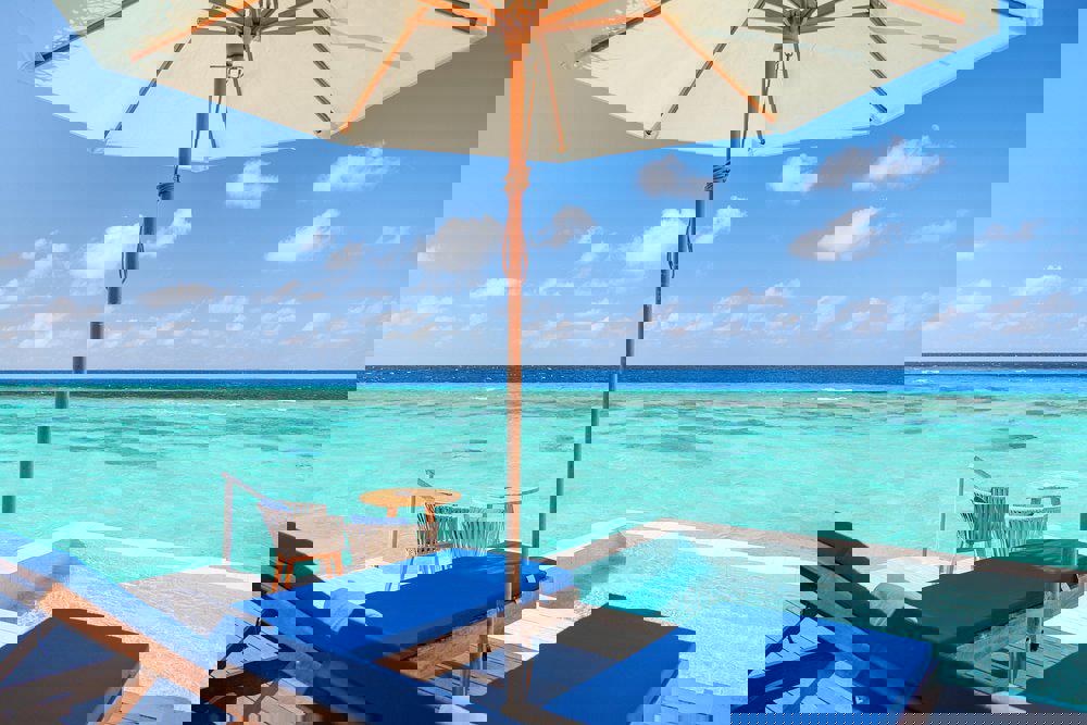2243911-463199