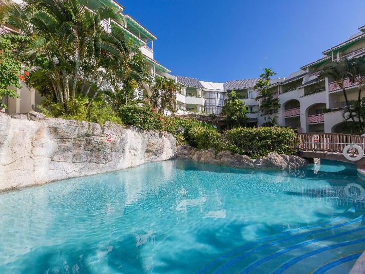 Bougainvillea Barbados