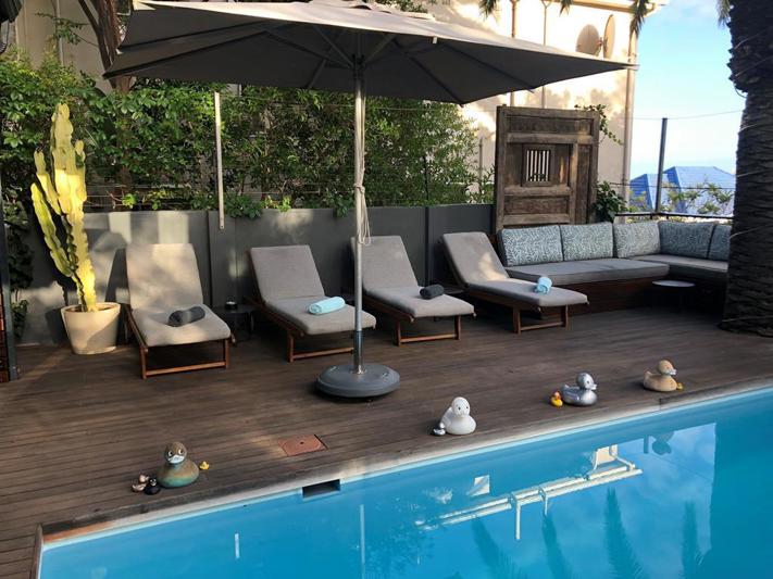 The Tree House Boutique Hotel - Green Point - Zuid-Afrika