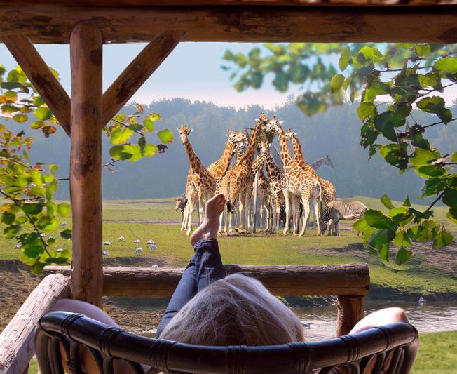 Safari Resort Beekse Bergen - Hilvarenbeek - Nederland