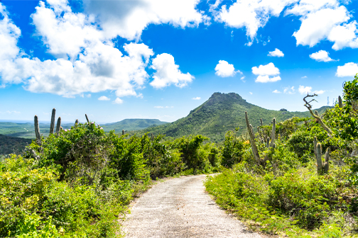 Christoffel National Park op Curaçao met groene heuvels, cactussen en ruige natuur onder een helderblauwe lucht