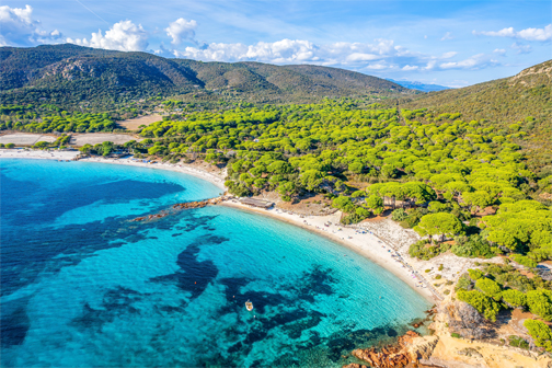Palombaggia op Corsica met wit zand, helder turquoise zeewater, rotsen langs de kust en groene pijnbomen rondom het strand.
