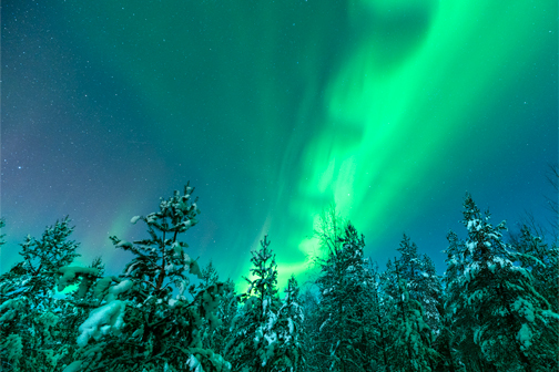 Noordelicht in het donker boven boomtoppen in Lapland