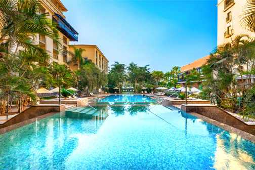 Helder zwembad omringd door palmen en ligbedden 