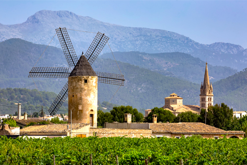 Wijngaarden bij Binissalem op Mallorca met lange rijen wijnranken, groene velden en bergen op de achtergrond onder een heldere lucht.