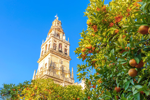 Uitzicht op Sevilla met het Plaza de España, halfrond gebouw, bruggen en een ruim plein onder een zonnige lucht.