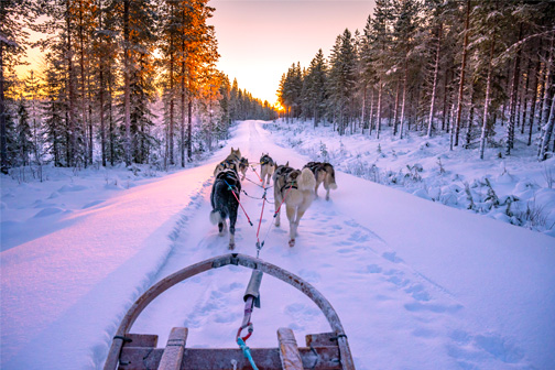 Persoon zit op een huskyslede en rijdt door het besneeuwde bos tijdens zonsondergang