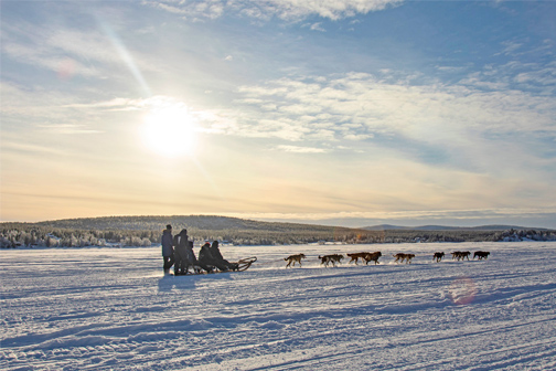 Mensen doen mee met een huskytocht in Lapland op een sneeuwvlakte onder de zon