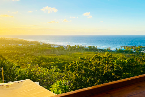 Uitzicht over jungle gebied met de zee op de achtergrond vanaf een hoog balkon op Puerto Rico