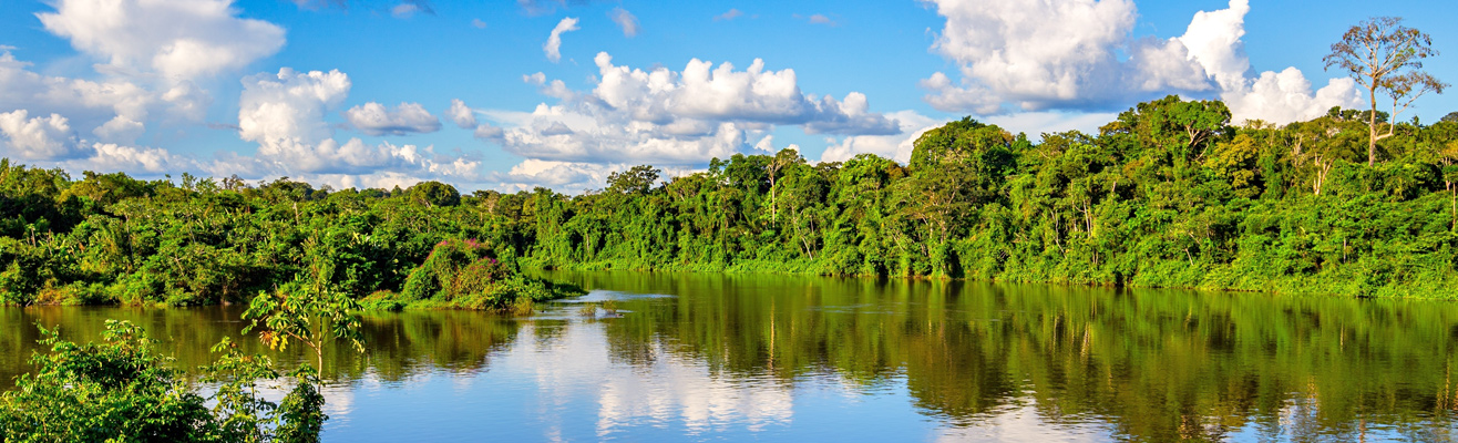 Natuur in Suriname