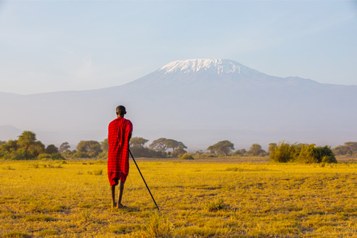 Man in rode doek staat met stok op gele savanne en kijkt naar de besneeuwde top van de Kilimanjaro in de verte bij zacht ochtendlicht.