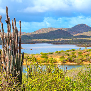 Washington Slagbaai National Park op Bonaire met ruige kustlijn, turquoise zee en droog landschap met cactussen onder een heldere lucht.