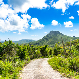 Christoffel National Park op Curaçao met droog landschap, groene heuvels en uitzicht over de kust onder een heldere blauwe lucht.