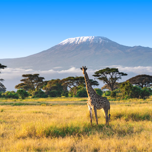 Prachtige uitzichten op natuur én de Kilimanjaro
