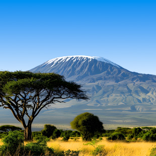 Wauw: de imposante Mount Kilimanjaro
