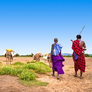 Kijk mee naar de gebruiken van de Masai, zoals de kandidaten van WIDM 2026