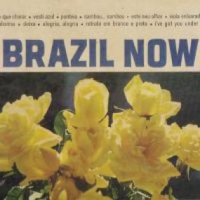 BRAZIL NOW by THE G/9 GROUP