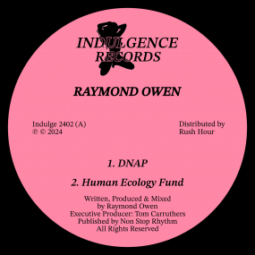 Raymond Owen / Detachment Raymond Owen / Detachment