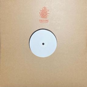 IMPLODED VERSIONS by THE BUG VS GHOST DUBS