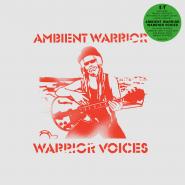 ONE BLOOD SYMPHANY by CAT COORE