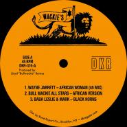 IN LION DUB STYLE by PRINCE JAMMY