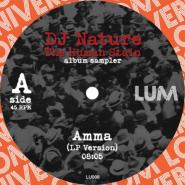 VERSIONS PART ONE by DJ NATURE