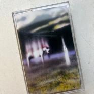 WAYS OF KNOWING by NAVY BLUE