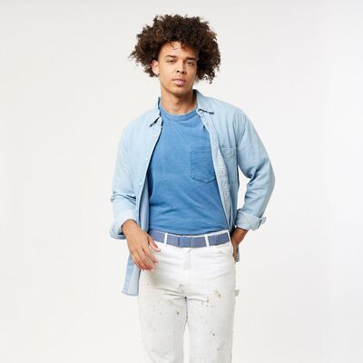 Icelandic klik voor vergroting