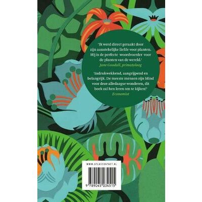 klik voor vergroting